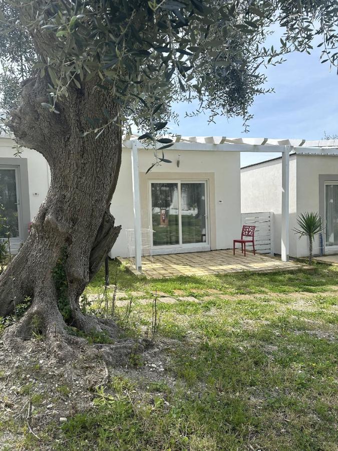Frontemare Hotel Village & Ristorante Rodi Garganico Kültér fotó