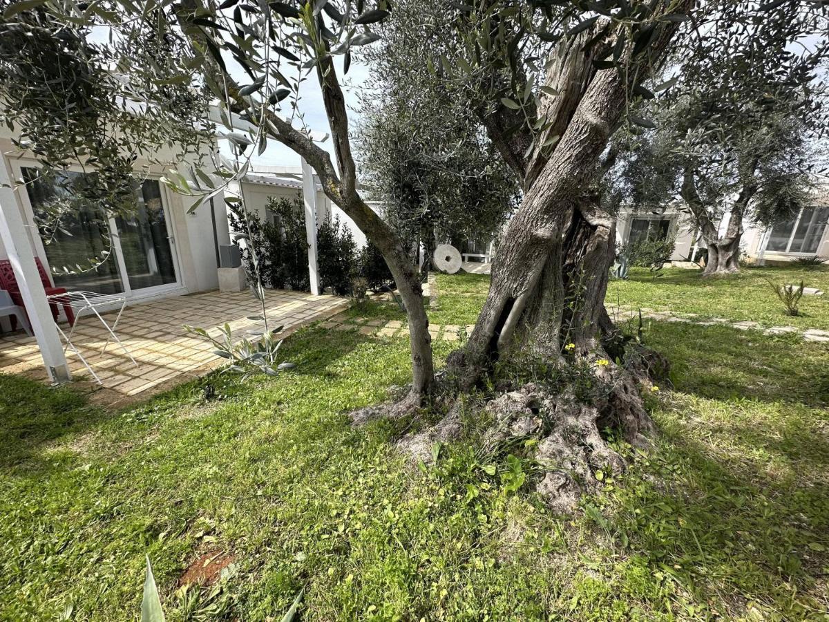Frontemare Hotel Village & Ristorante Rodi Garganico Kültér fotó